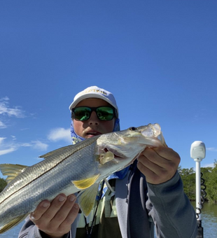 Snook cruising the flats! 